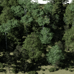 Forest NA mix A spring summer