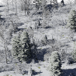 Forest NA mix A winter