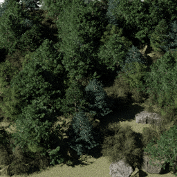 Forest NA mix D spring summer