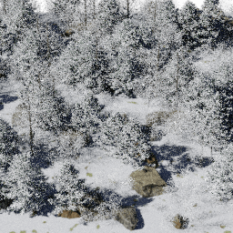 Forest NA mix D winter