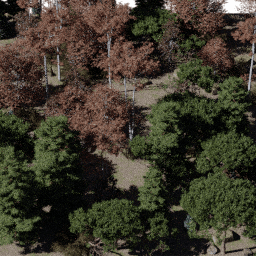 Forest NA mix G autumn