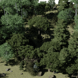 Forest NA mix G spring summer