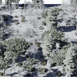 Forest NA mix G winter