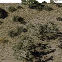 Savannah AF A spring summer autumn