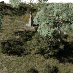 Savannah AF B spring summer autumn