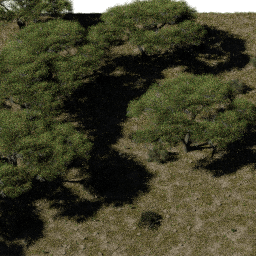 Savannah AF C spring summer autumn