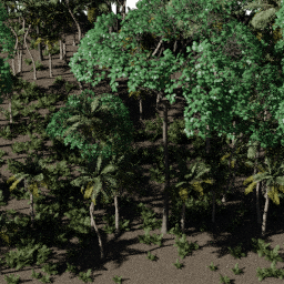 Tropical NA A spring summer autumn