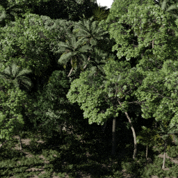 Tropical SA B spring summer autumn