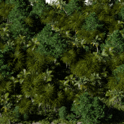 Tropical SA C spring summer autumn