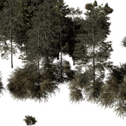 EU Boreal con A autumn