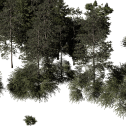 EU Boreal con A spring summer