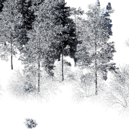 EU Boreal con A winter