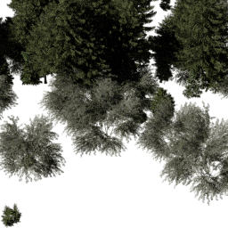 EU Central con A spring