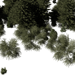 EU Central con A summer