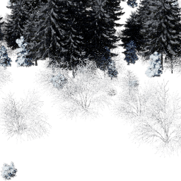 EU Central con A winter