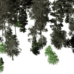 NA Mountain con A autumn