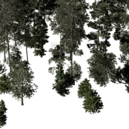 NA Mountain con A spring summer