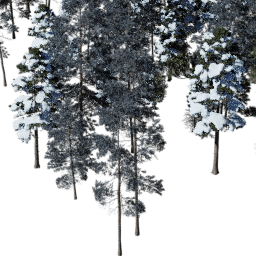 NA Mountain con A winter