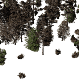 NA North west con A autumn