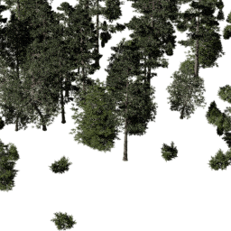 NA North west con A spring summer