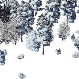 NA North west con A winter