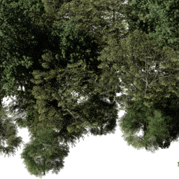 EU Alp dec A spring summer