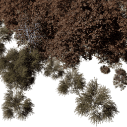 EU Central dec A autumn