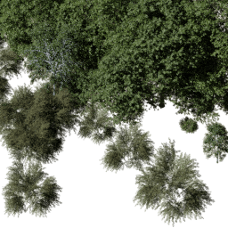 EU Central dec A summer