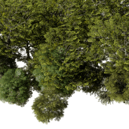 EU East dec A spring summer