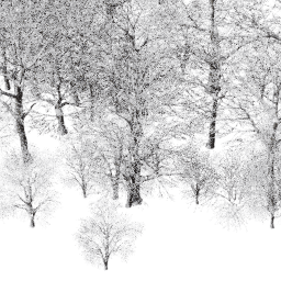 EU East dec A winter