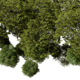 EU East dec B spring summer