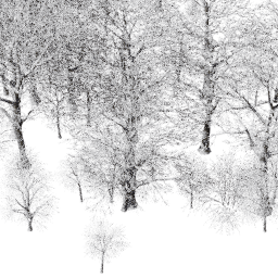 EU East dec B winter