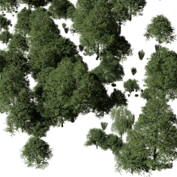 NA California dec A summer