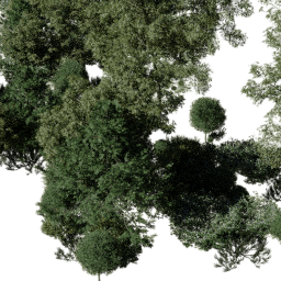 NA California dec D summer