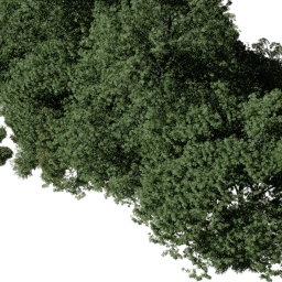 NA North east dec A spring summer