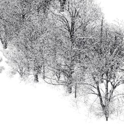 NA North east dec A winter