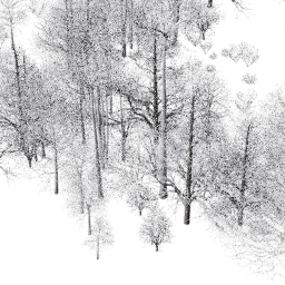 NA Temperate dec A winter