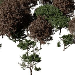 EU Coastal mix A autumn