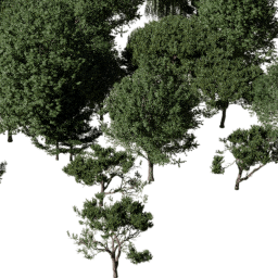 EU Coastal mix A spring summer