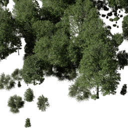 EU Temperate mix A spring summer