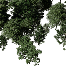 NA Coastal mix A autumn