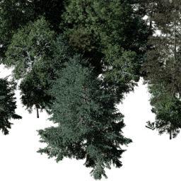 NA Mountain mix A autumn