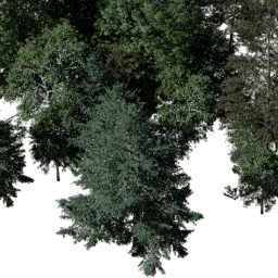 NA Mountain mix A spring summer