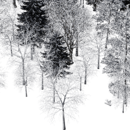 NA Mountain mix A winter