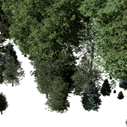 NA Temperate mix A autumn