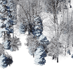 NA Temperate mix A winter