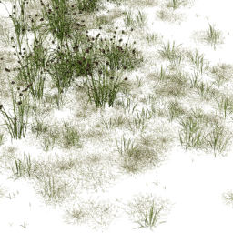 EU B spring summer autumn