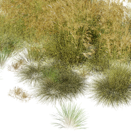 Miscanthus Carex mix B spring