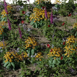 Flower Flower bed rustic A spring summer