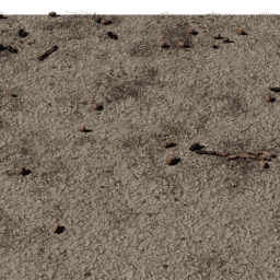 Forest debris Coniferous B spring summer autumn